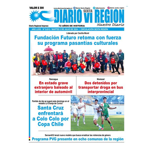 Diarioviregion.cl